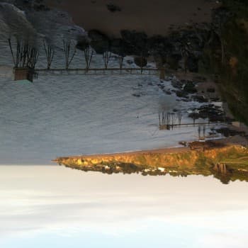 Profil de Raphaëlle, 25 ans, Rencontre célibataire à Les Clées (Vaud)