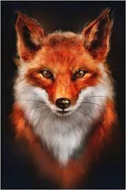 Zakarya - Rencontre célibataire à Nidau Profil de Zakarya, 38 ans, Rencontre célibataire à Nidau (Berne)