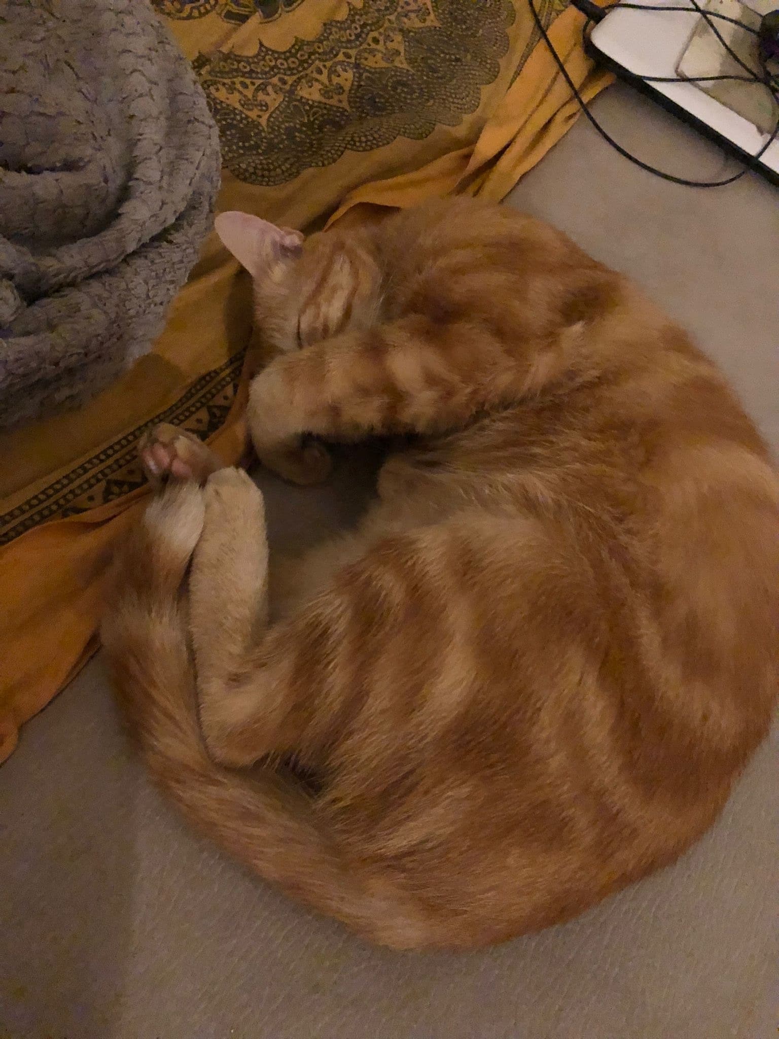 Profil de Ilhan, 26 ans, Rencontre célibataire à Urnerboden (Uri)