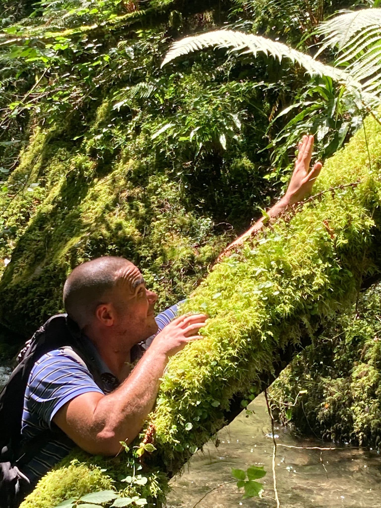 Loqman - Rencontre célibataire à Laura Profil de Loqman, 34 ans, Rencontre célibataire à Laura (Grisons)
