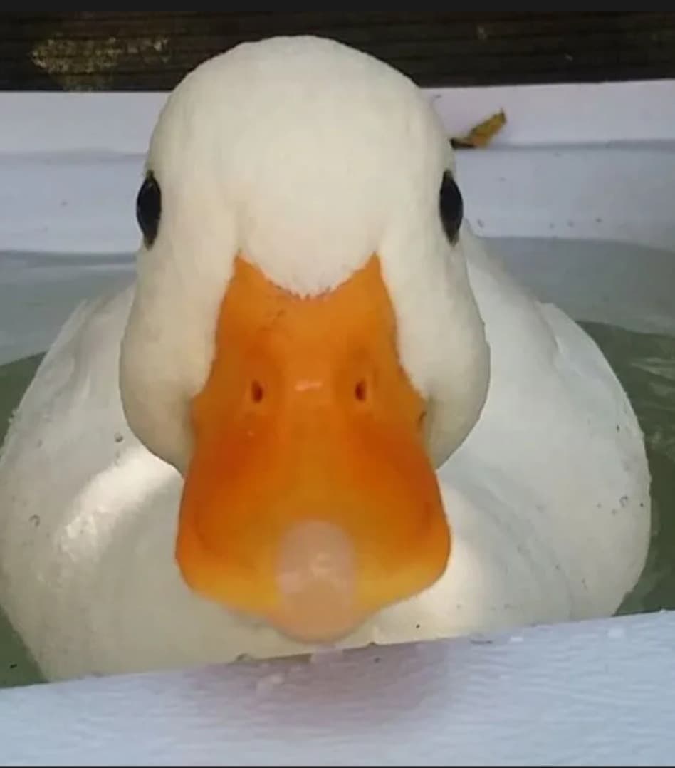 Anouar - Rencontre célibataire à Brusio Profil de Anouar, 51 ans, Rencontre célibataire à Brusio (Grisons)