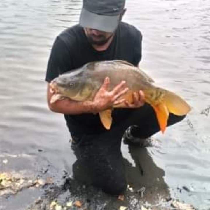 Hasan - Rencontre célibataire à Campora Profil de Hasan, 36 ans, Rencontre célibataire à Campora (Tessin)