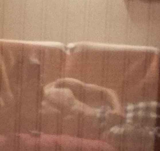 Zachary - Rencontre célibataire à Hemberg Profil de Zachary, 23 ans, Rencontre célibataire à Hemberg (Saint-Gall)